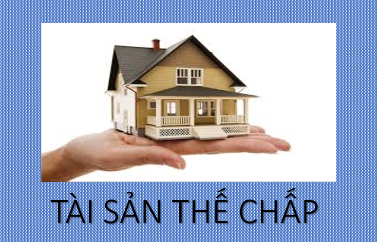 ÁN LỆ SỐ 43/2021/AL1  